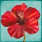 Joyful Hibiscus Poster Print by Patricia Pinto - Item # VARPDX8779A